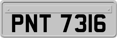 PNT7316