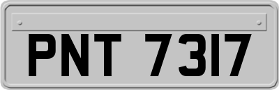 PNT7317