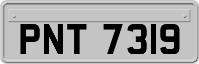 PNT7319