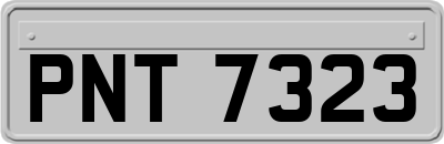 PNT7323