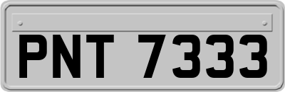 PNT7333