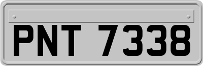 PNT7338