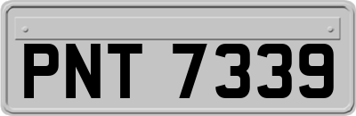 PNT7339