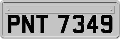 PNT7349