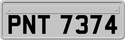 PNT7374