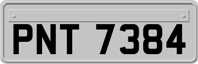 PNT7384