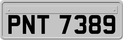 PNT7389