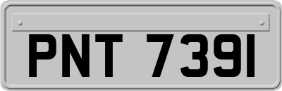 PNT7391