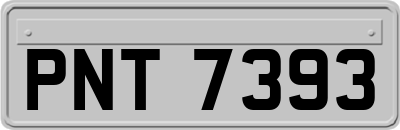 PNT7393