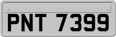 PNT7399