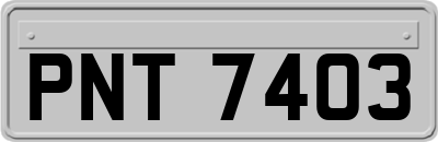 PNT7403