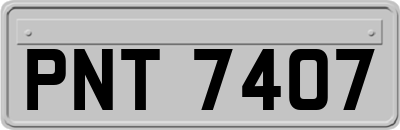 PNT7407