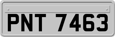 PNT7463