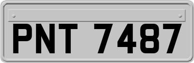 PNT7487