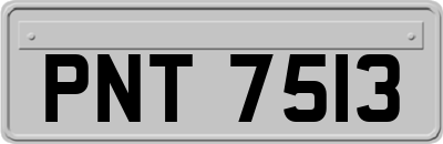PNT7513