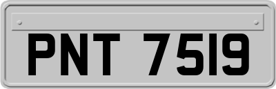 PNT7519