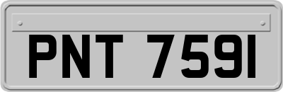 PNT7591