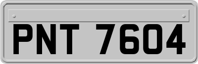 PNT7604