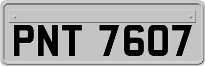 PNT7607