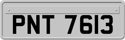 PNT7613