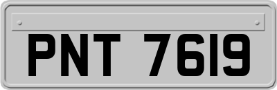 PNT7619