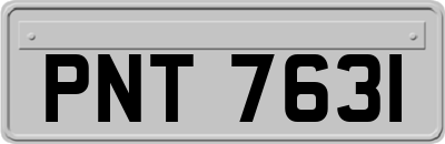 PNT7631