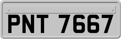 PNT7667