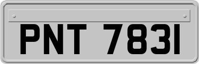 PNT7831