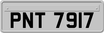 PNT7917