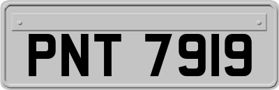 PNT7919