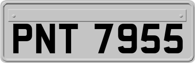 PNT7955