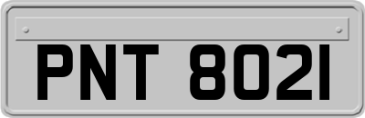 PNT8021