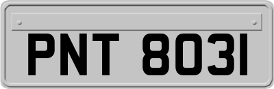 PNT8031
