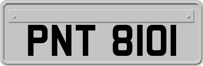 PNT8101