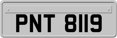 PNT8119