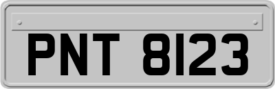 PNT8123