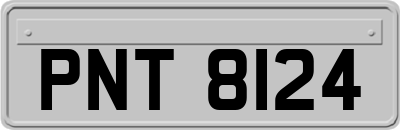 PNT8124