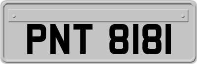 PNT8181
