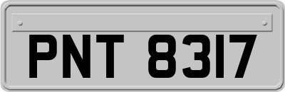 PNT8317