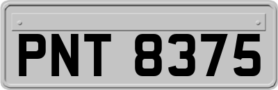 PNT8375