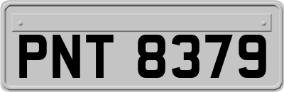 PNT8379