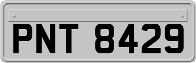 PNT8429