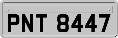 PNT8447
