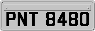 PNT8480