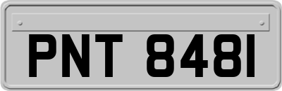 PNT8481