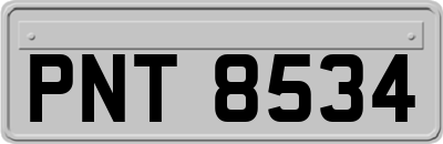 PNT8534