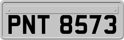 PNT8573