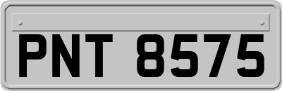 PNT8575