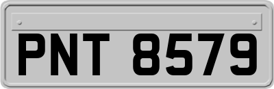 PNT8579