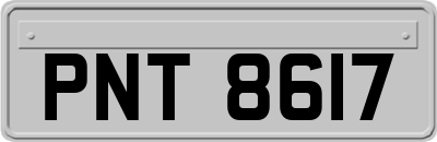 PNT8617